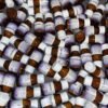 Buy Farmapram bars : Mexican pharmaceuticals